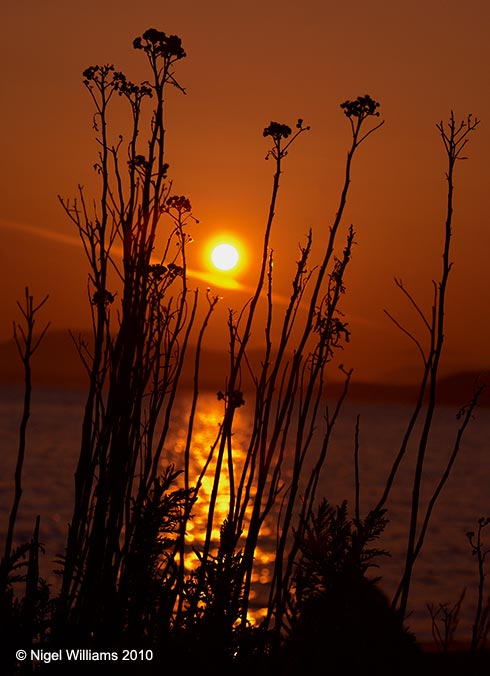 Greetings card sunset